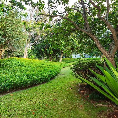 Modern, Romantic Vibes In The Tropics Kahuku Exterior foto